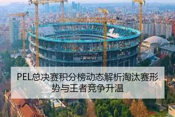 zong-jue-sai-ji-fen-bang-dong-tai-jie-xi-tao-tai-sai-xing-shi-yu-wang-zhe-jing-zheng-sheng-wen-2-509.jpg